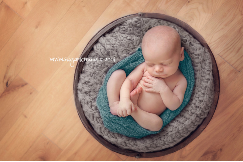10 newmarket newborn photography