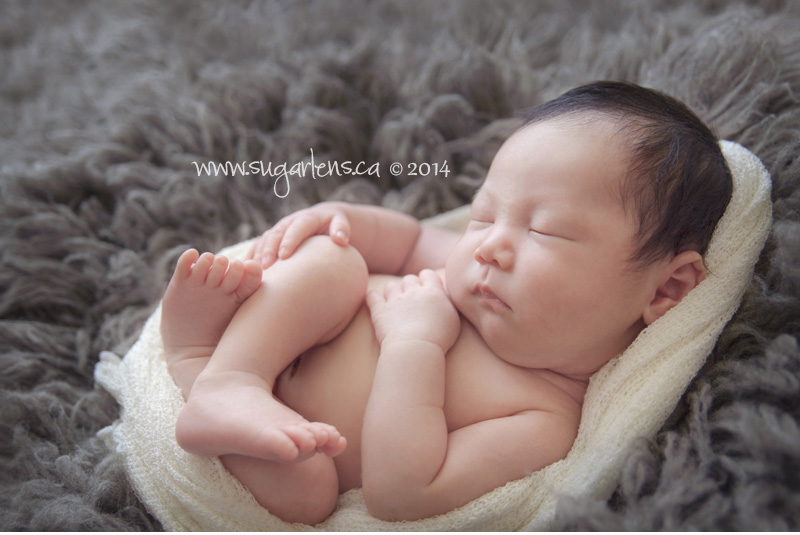 newmarket newborn photographer