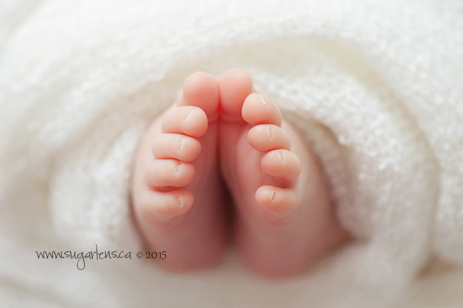 newmarket newborn photography